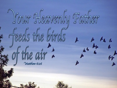 Matthew 6:26 Look At The Birds Of The Air (blue)